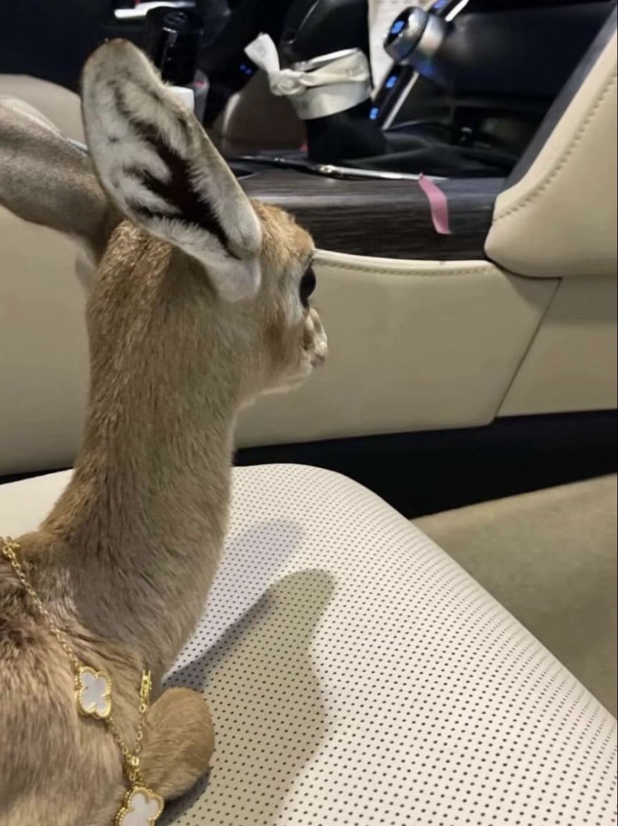 ㅤㅤㅤㅤ

͏ 

͏بسيطة في ملـذاتي ولكنّي رفيـعة شأن
أشوف إن القصايد والمطر تشرح تفاصيلي