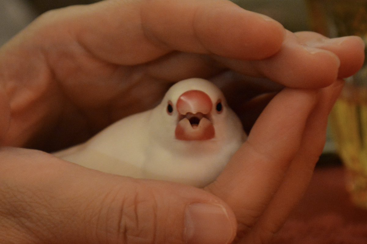 \よいお年をーーーっ！！！/