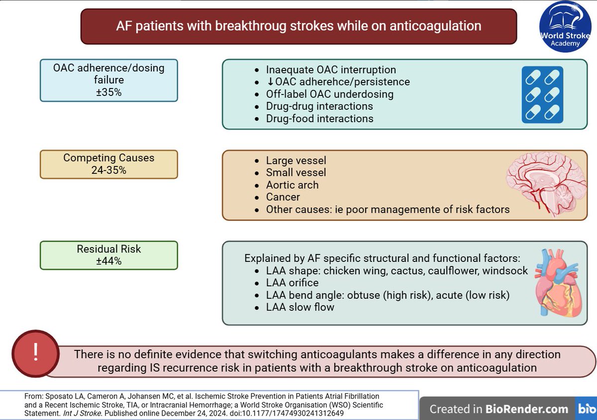 #MondayTip

☝️Before labeling a breakthrough event as OAC failure, it's crucial to identify the specific cause through a systematic investigation

🧠This approach helps refine 2ry prevention strategies and improve outcomes

From <a href="/WSO_BrainHeart/">WSO_BrainHeart</a> statement:
doi.org/10.1177/174749…