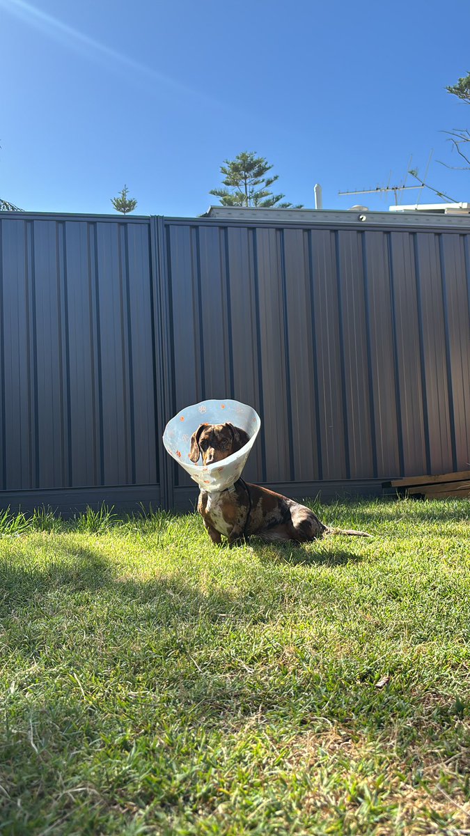 Someone’s not happy I took his jewels from him