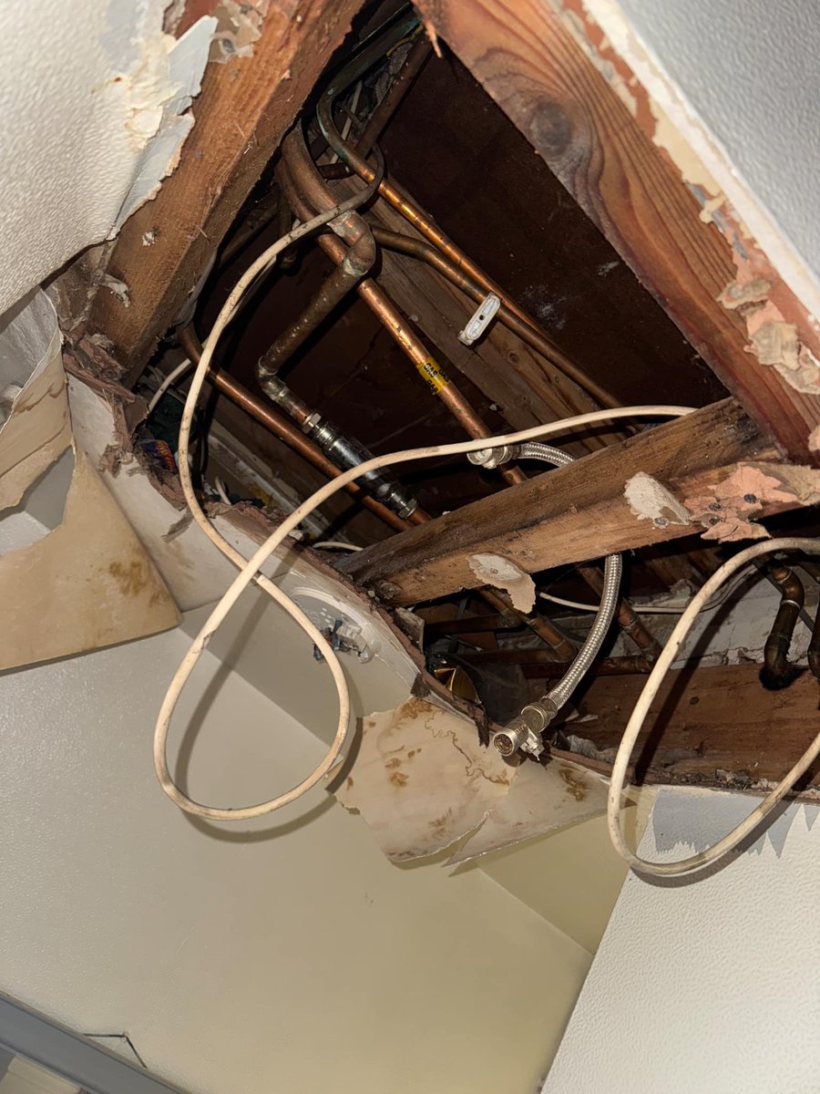 Amy Kate tweet media