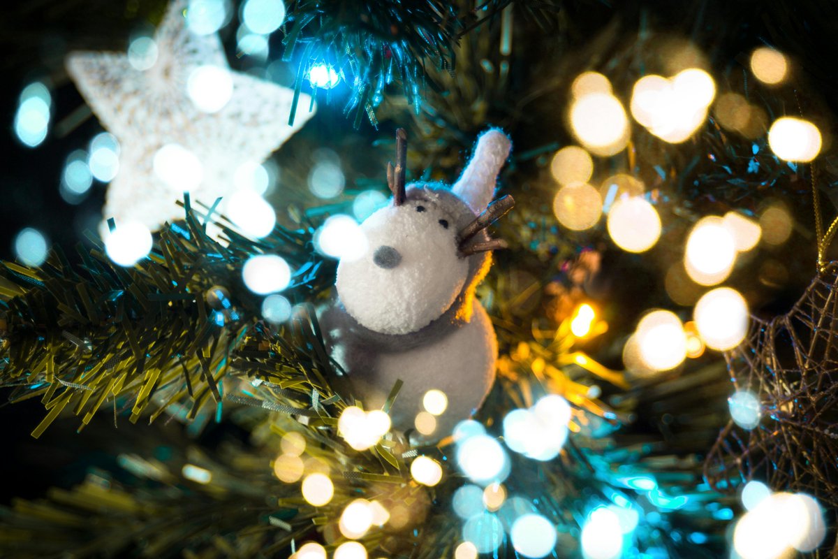 elizabethabenn1's tweet photo. Hello Twitter Followers!

It's the last holiday song for 2024 on this last Monday evening in December and the year...

Take a listen to the Trans-Siberian Orchestra as they play "Carol of the Bells" - a personal favorite!

Have a marvelous and memorable Monday night!! https://t.co/kcF98eYfP2