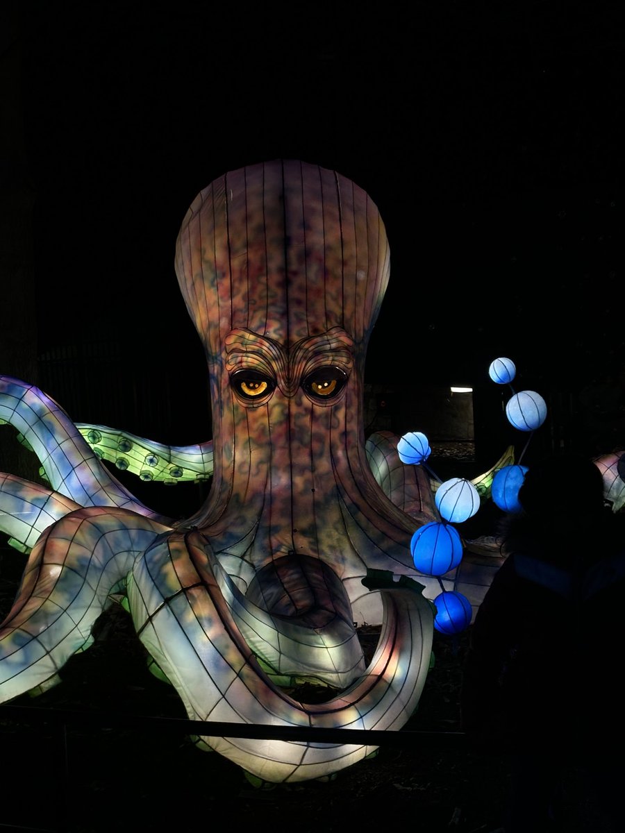 RayOrNard's tweet photo. #ZooLights https://t.co/SqWdXdR2rY