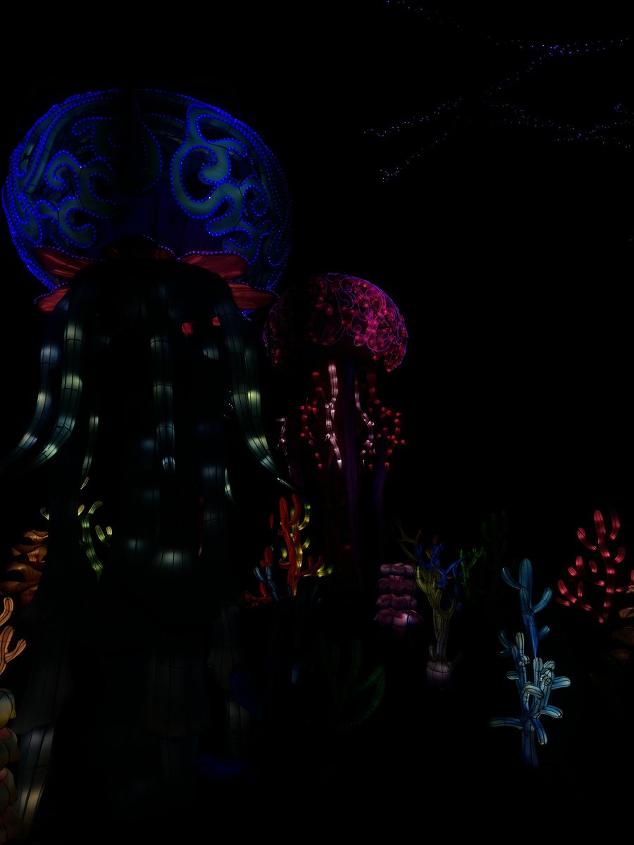 RayOrNard's tweet photo. #ZooLights https://t.co/SqWdXdR2rY