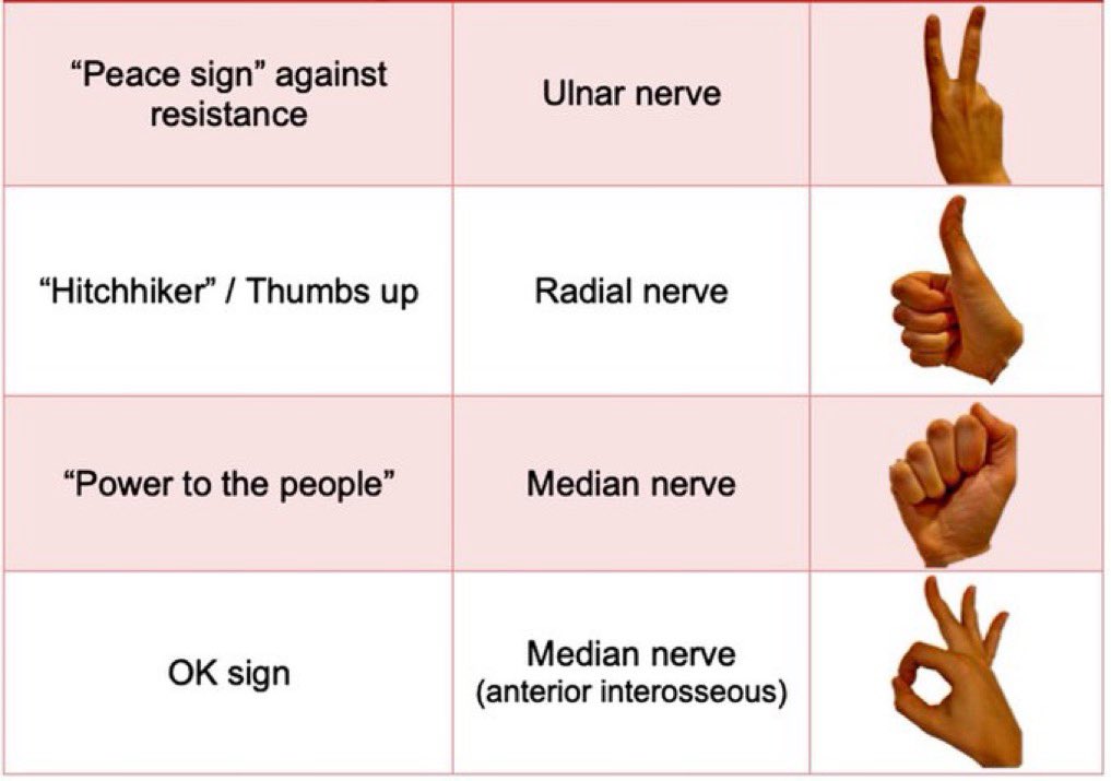 MoAImam's tweet photo. Quick nerve exam https://t.co/ebRHFwTgfY