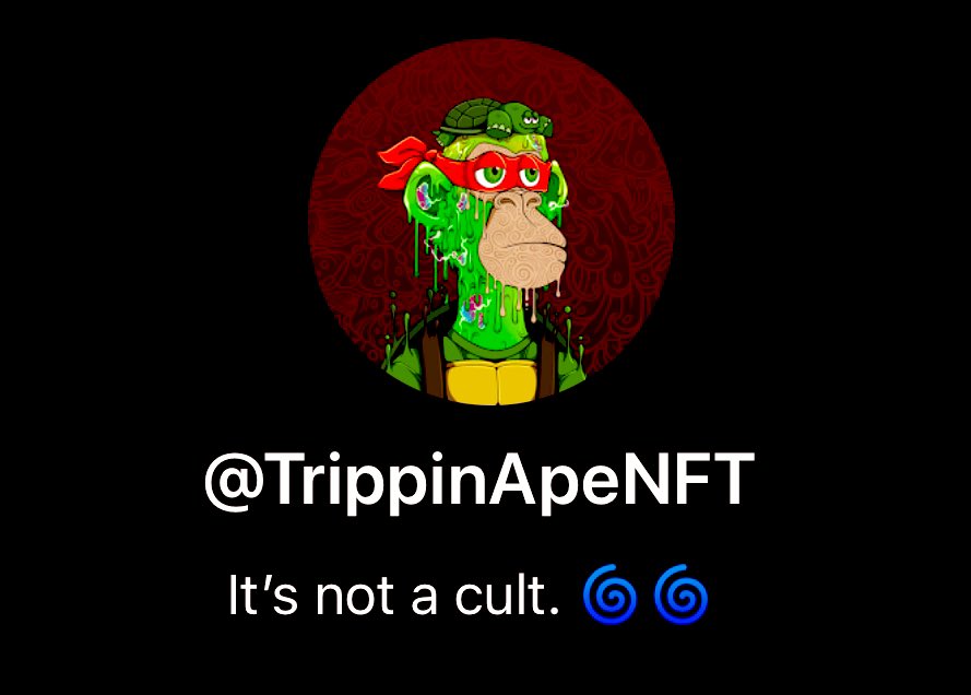 Gm tribe,

Set up a profile in your Phantom wallet, then give us a follow. Drop yours in the comments below. Follow and follow back. 

Apes ascend as one. 🌀🌀