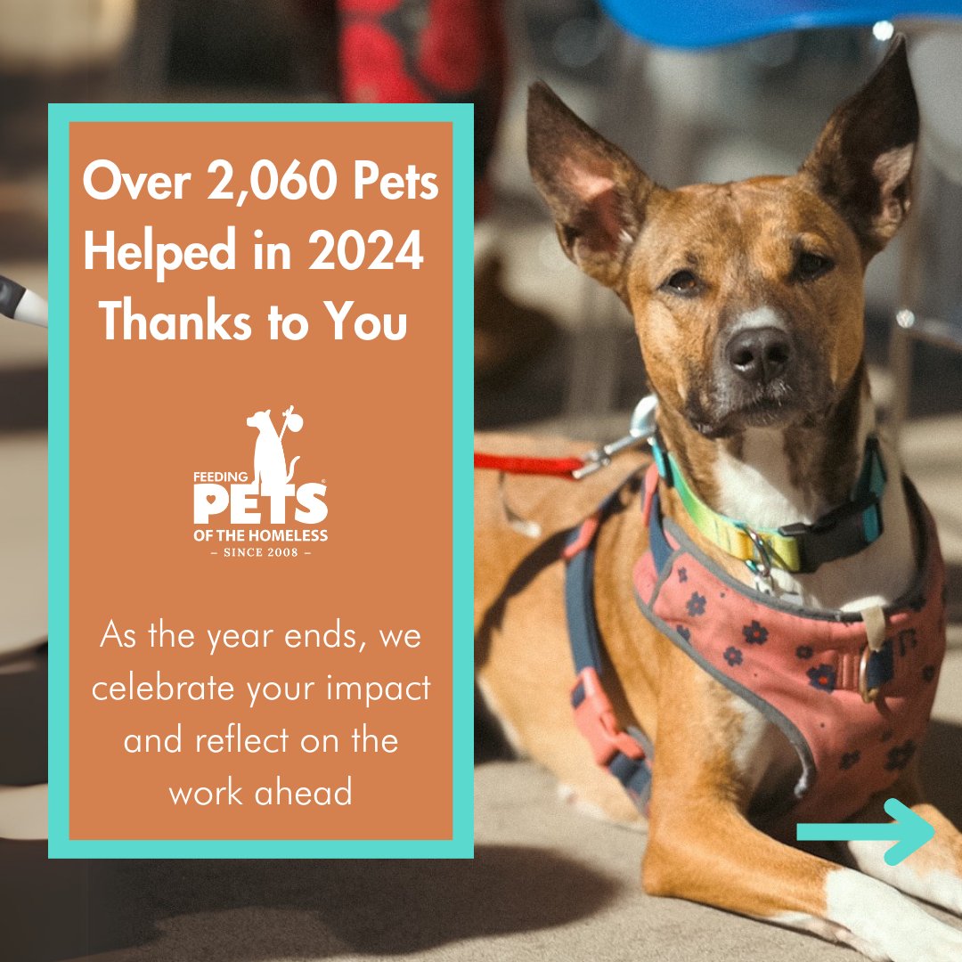 PetsofHomeless's tweet image. 🐾 Your support changed lives in 2024:
✅ 2,060 pets cared for
✅ 105 veterans, 85 seniors supported
✅ 393 cities reached
Homelessness is up 18%, even more pets need us. @HUDgov
Give before the tax deadline petsofthehomeless.org/donate-crypto/
#CryptoForGood #DonateCrypto
@TheGivingBlock