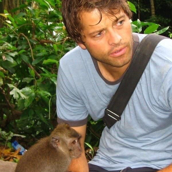 Daily_Collins's tweet image. 