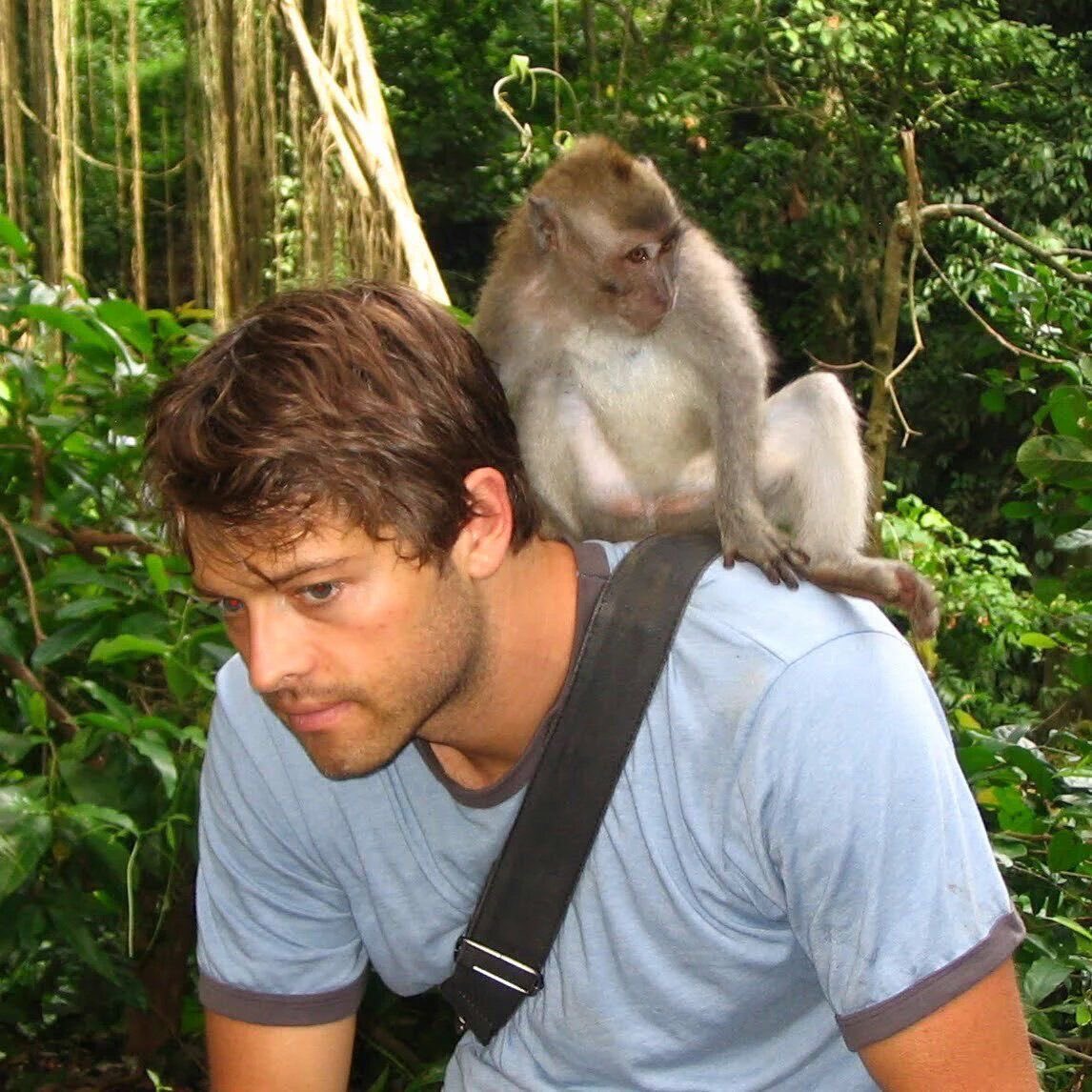 Daily_Collins's tweet image. 