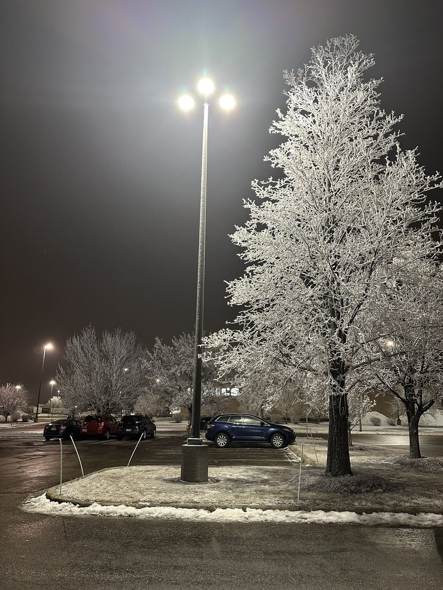 Hours upon hours upon hours of fog makes it look a little wintry out.