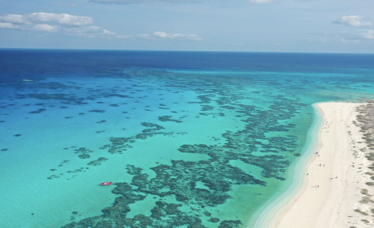 Reef Ecologic (@reefecologic) on Twitter photo Check out our open access article on the power of Citizen Science in taking action to help conserve our reefs! doi.org/10.3390/su1624… #MDPIOpenAccess #reef #coralreef #coralreefawareness #fish #citizen #coralconservation #oceanconservation #reefresto @CoralExpedition <a href="/ausgeo/">Australian Geographic</a> Check out our open access article on the power of Citizen Science in taking action to help conserve our reefs! doi.org/10.3390/su1624… #MDPIOpenAccess #reef #coralreef #coralreefawareness #fish #citizen #coralconservation #oceanconservation #reefresto @CoralExpedition <a href="/ausgeo/">Australian Geographic</a>
