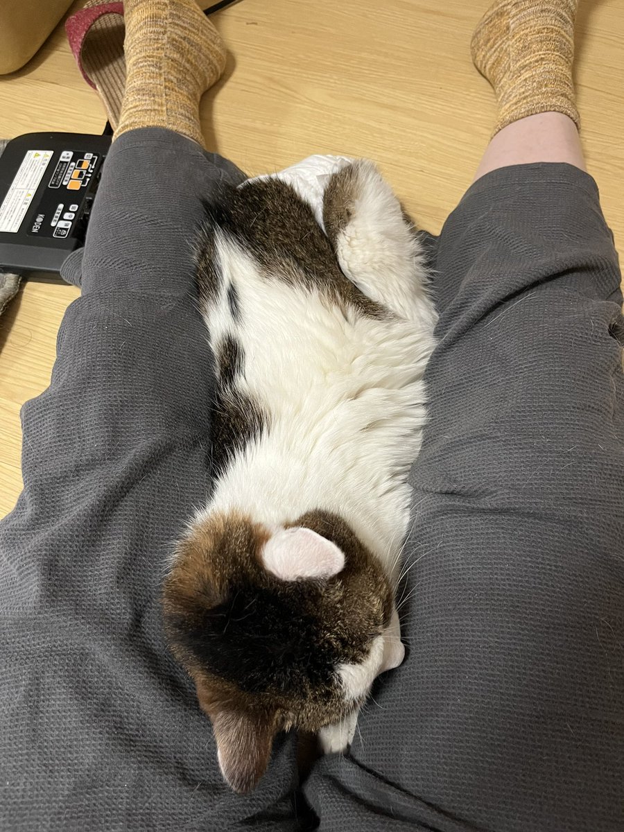_popolon_'s tweet photo. 今年も色々ありました。いろんなところにも行きました。出会いも別れもありました。
それらすべてに感謝します。

今日で2024年が終わりです。お付き合いいただきありがとうございました。😊
2025年もゆる〜くいくと思いますが、よろしくお願いいたします https://t.co/blMIoG2WEj