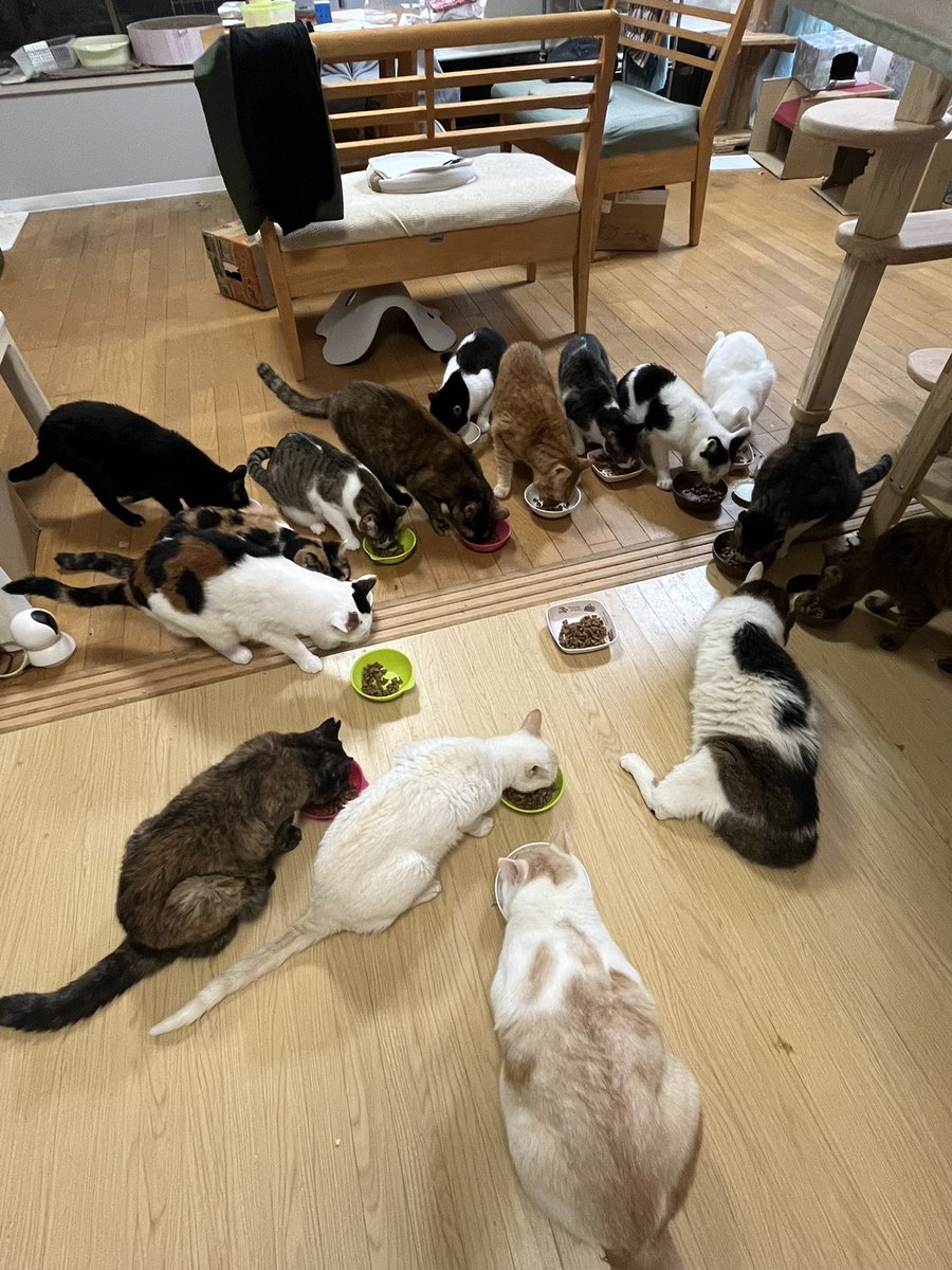 _popolon_'s tweet photo. 今年も色々ありました。いろんなところにも行きました。出会いも別れもありました。
それらすべてに感謝します。

今日で2024年が終わりです。お付き合いいただきありがとうございました。😊
2025年もゆる〜くいくと思いますが、よろしくお願いいたします https://t.co/blMIoG2WEj