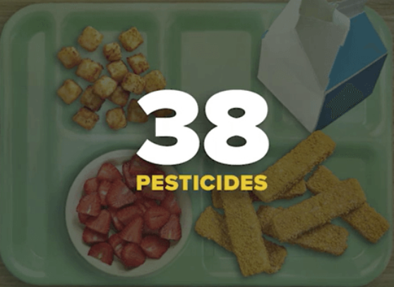 Toxins in #school lunch: A key Senator wants to reach across the aisle to fix it turnto10.com/news/nation-wo… 
#health #education #RI