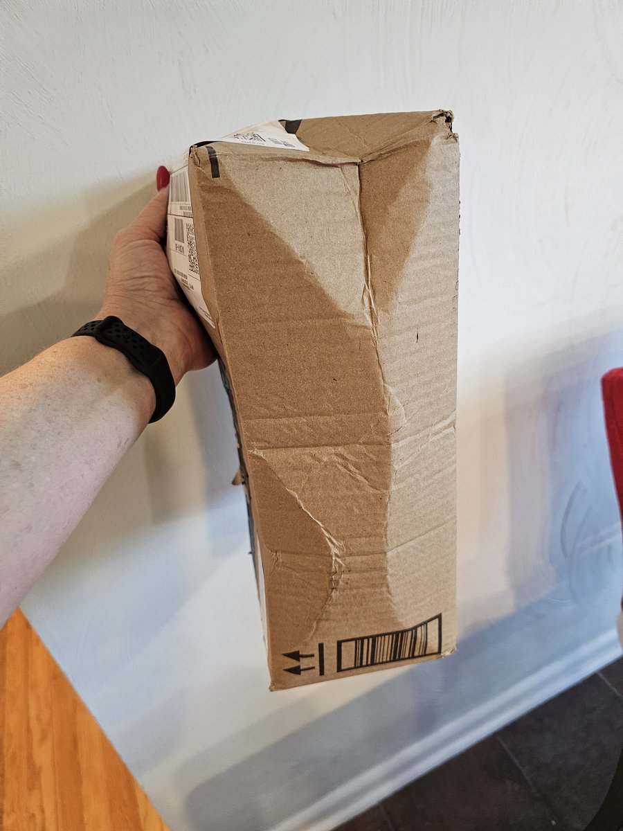 MathNerdCoop's tweet image. This is how my package was delivered today. Do better, @amazon!