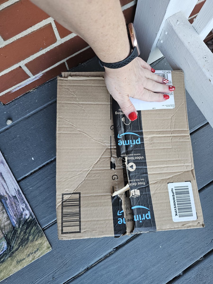 MathNerdCoop's tweet image. This is how my package was delivered today. Do better, @amazon!