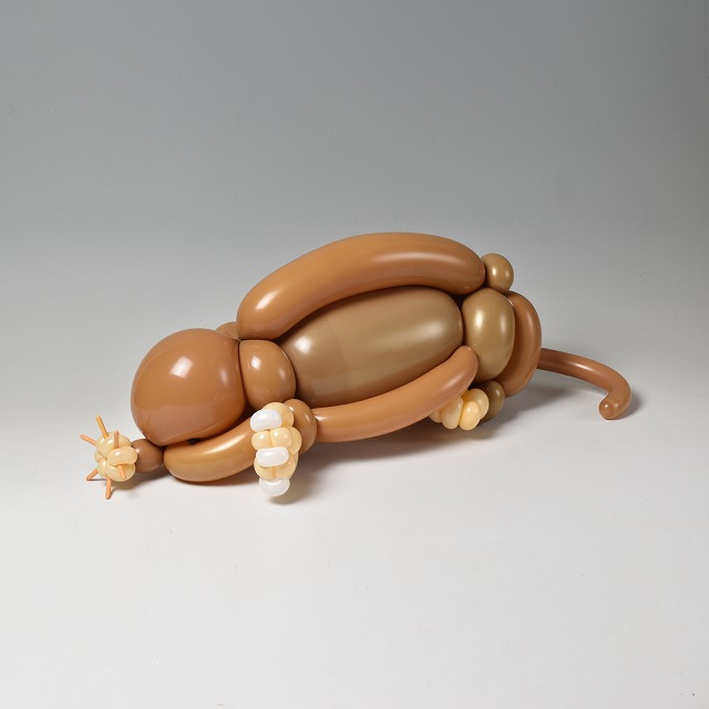 バルーンでホシバナモグラ
#StarNosedMole #Balloonart #バルーンアート