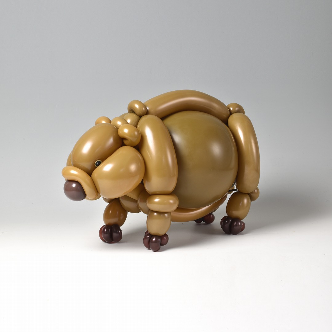 バルーンでウォンバット
#Wombat #Balloonanimals #バルーンアート