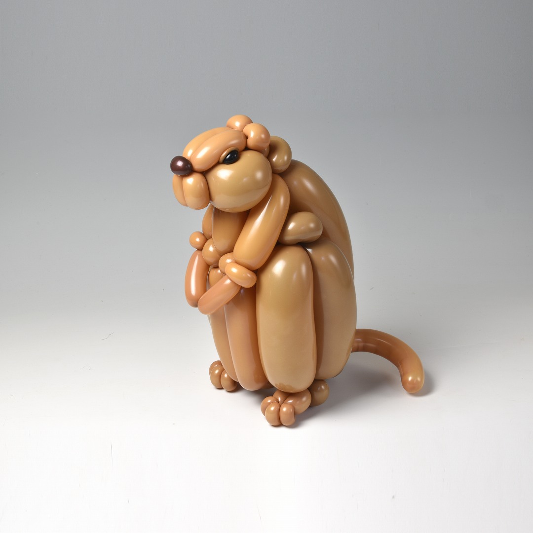 バルーンでプレーリードッグ
#PrairieDog #Balloonanimals #バルーンアート
