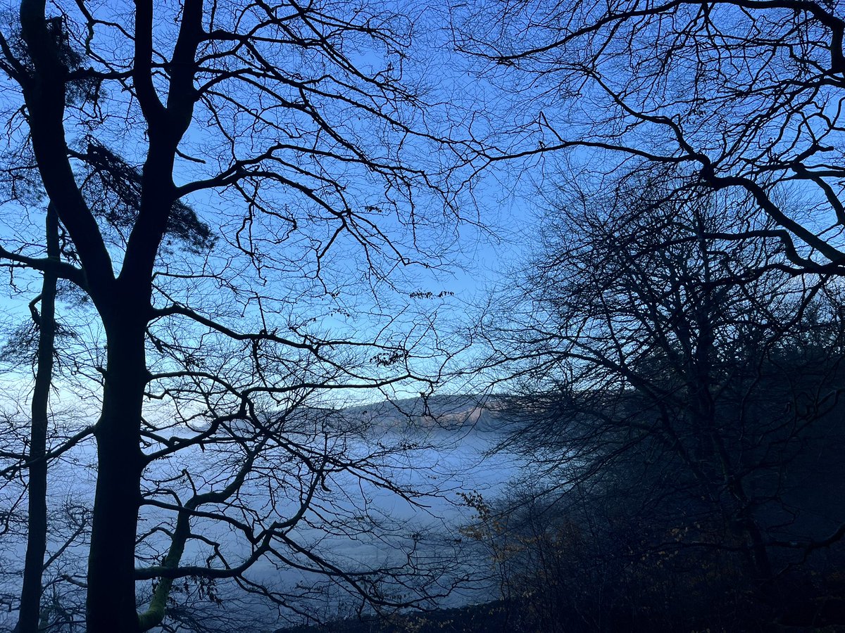 MsEYFS_YR's tweet photo. Beautiful trek trying a new trail around @NTLymePark in the mist. 
#lymepark #stockport #cheshire #PeakDistrict #thecage #thelantern https://t.co/d9FE9z8yB1