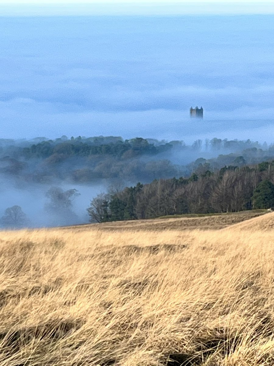 Beautiful trek trying a new trail around <a href="/NTLymePark/">NT Lyme</a> in the mist. 
#lymepark #stockport #cheshire #PeakDistrict #thecage #thelantern
