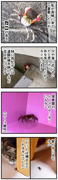 長崎はカニが多い 