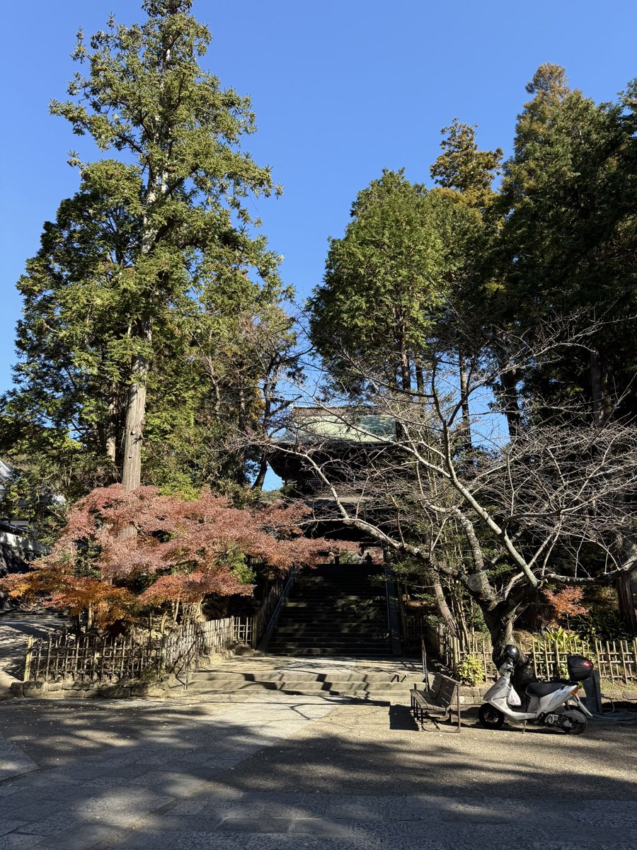 tomohi_pm's tweet photo. 大晦日の寺社巡り割と空いててとても良かった。寒川神社→円覚寺→明月院→東慶寺 https://t.co/6gdvjQPtXq