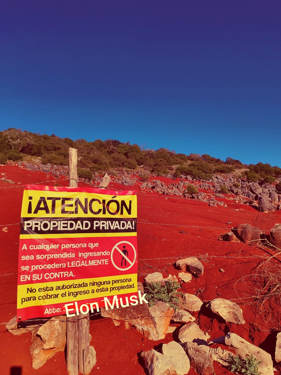 dhani_ser's tweet image. Cuando Elon Musk llegue a Marte: