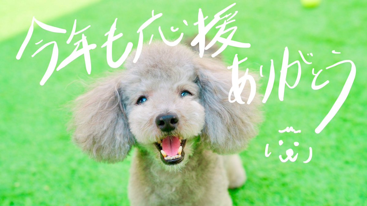 0issei's tweet photo. 本年も皆様の応援に何度も助けられ、力を沢山いただけた幸せな一年でした！！

来年も皆様のご多幸を���よりお祈りしております´◡`
よいお年をお迎え下さい！ https://t.co/YhZMZ3Jv0O