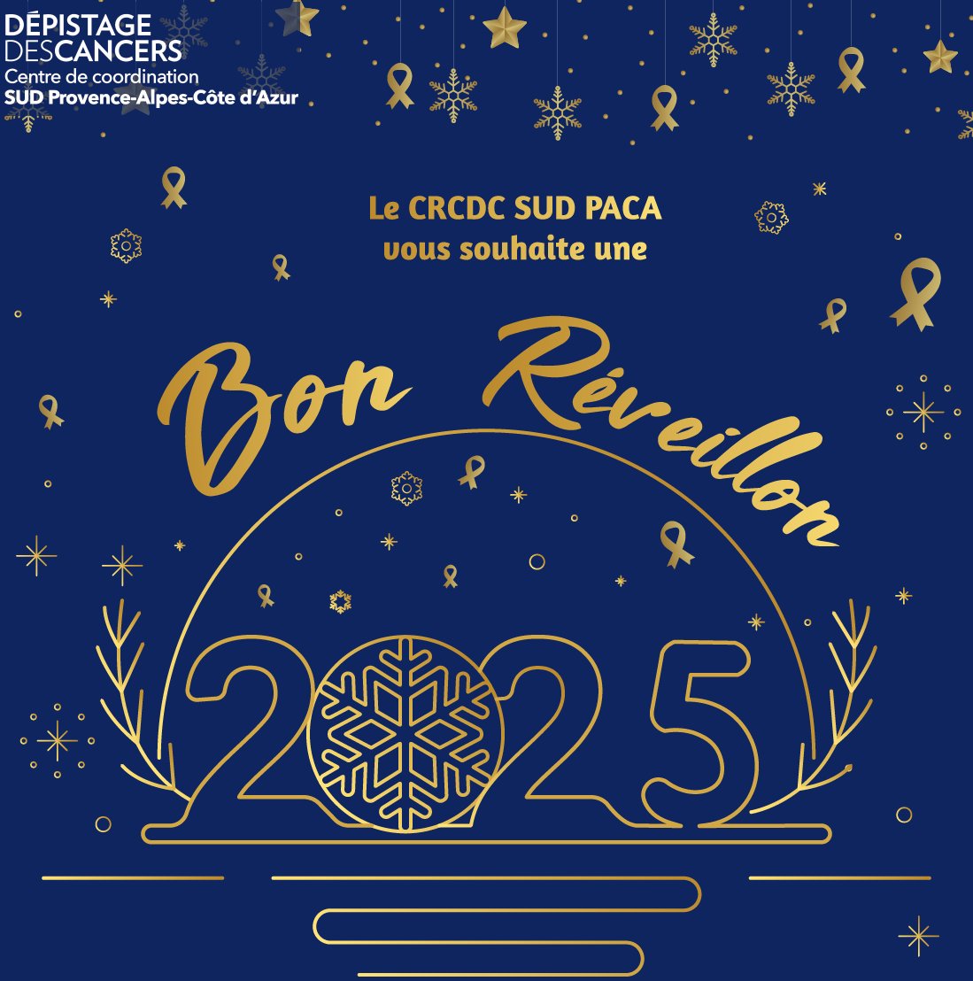 Le CRCDC Sud PACA vous souhaite un très bon réveillon🌟
Pensez à votre geste santé, le dépistage organisé🥰