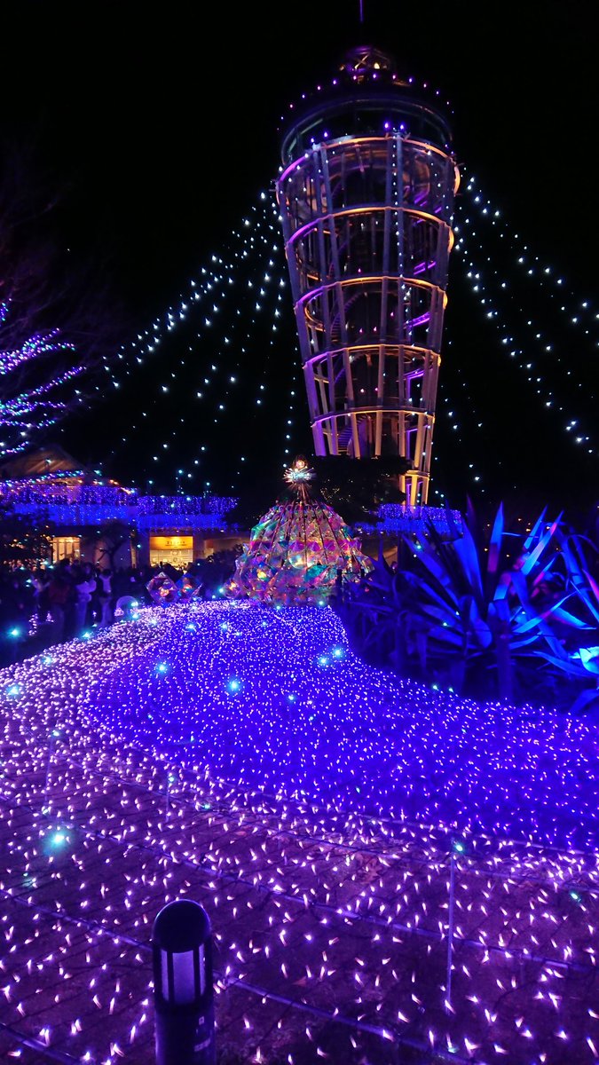 mifapoo's tweet image. 江ノ島のイルミネーション
華やかになりましたね