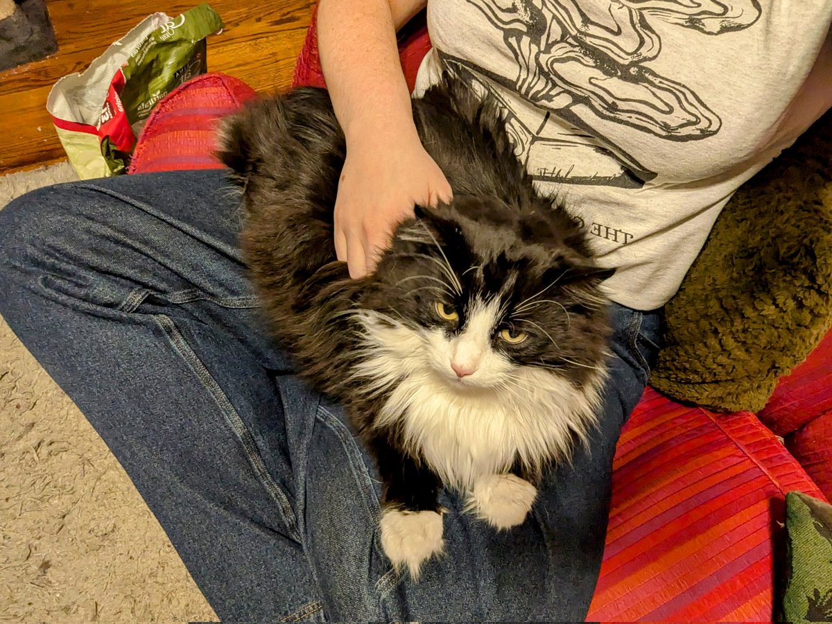 Let it be known that he sat here of his own volition