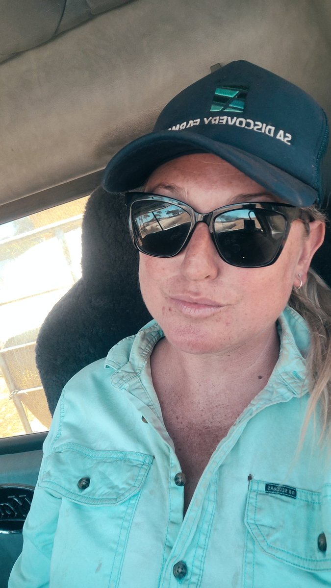 I think the <a href="/ScottStarkey15/">Scott Starkey</a> is enjoying my annual leave more than I am... cheap wife labour 😅
#starkeyfarms <a href="/SADiscoveryFarm/">SA Discovery Farms</a> #agfacilitator
