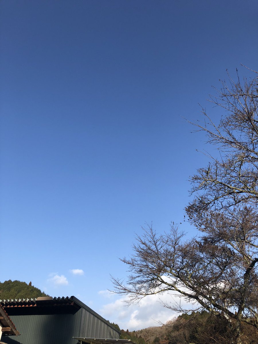 mkbreakfast85's tweet photo. 朝の大雨が嘘のように晴れ渡った空の元、かずくんの葬儀を執り行うことができました。
生まれ変わったらまたママの所に……って思ったけど、今からじゃ私が先に死んじゃうからやっぱり私が生まれ変わってからまた会おうね。 https://t.co/GoNapHBFbn