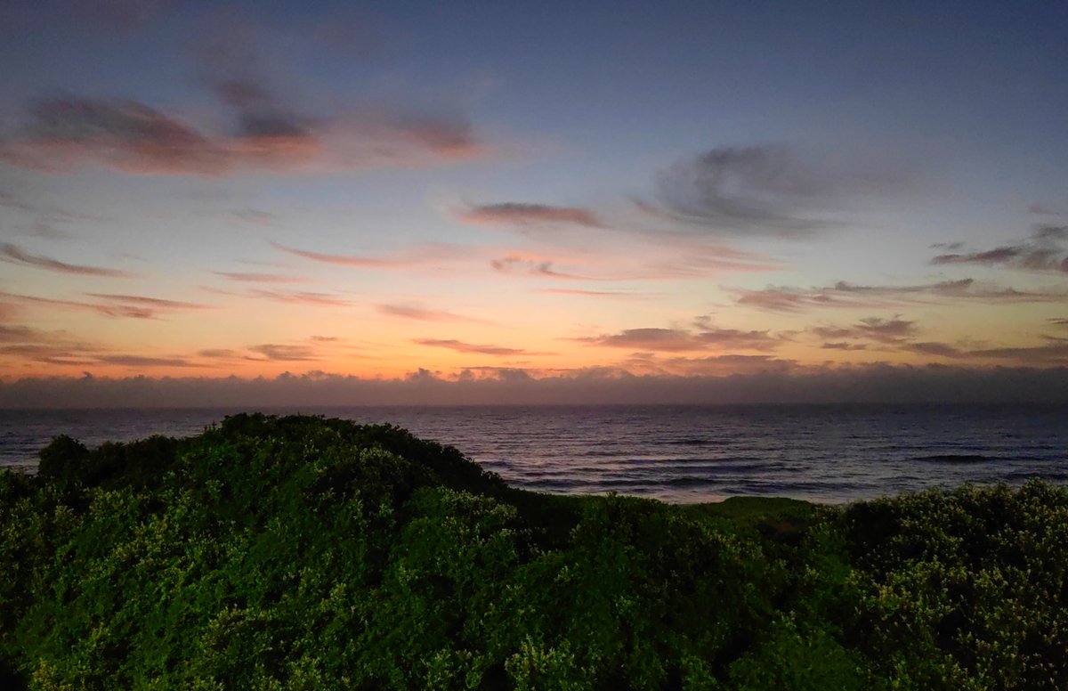 ▓▒░ 𝗗𝗲𝗮𝗻 𝗧𝗵𝗼𝗺𝗮𝘀 ░▒▓ tweet media