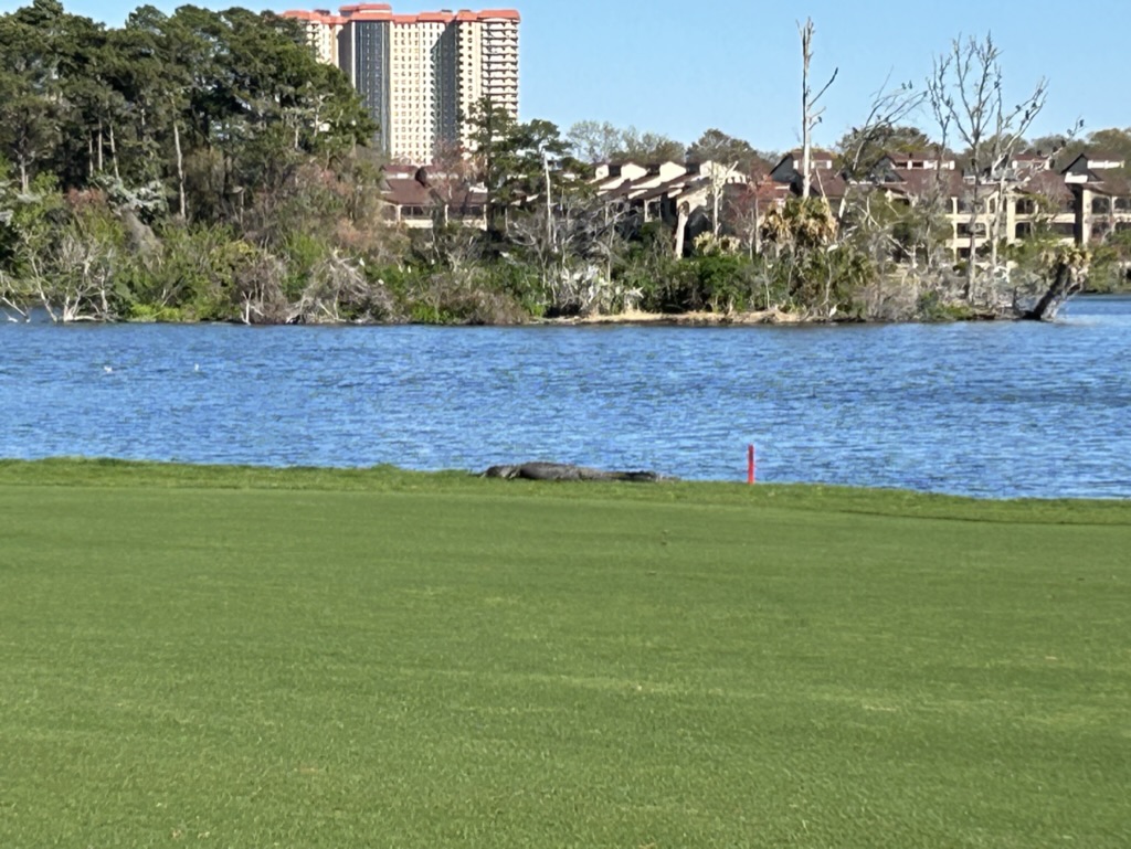 Kyle Nelson tweet media