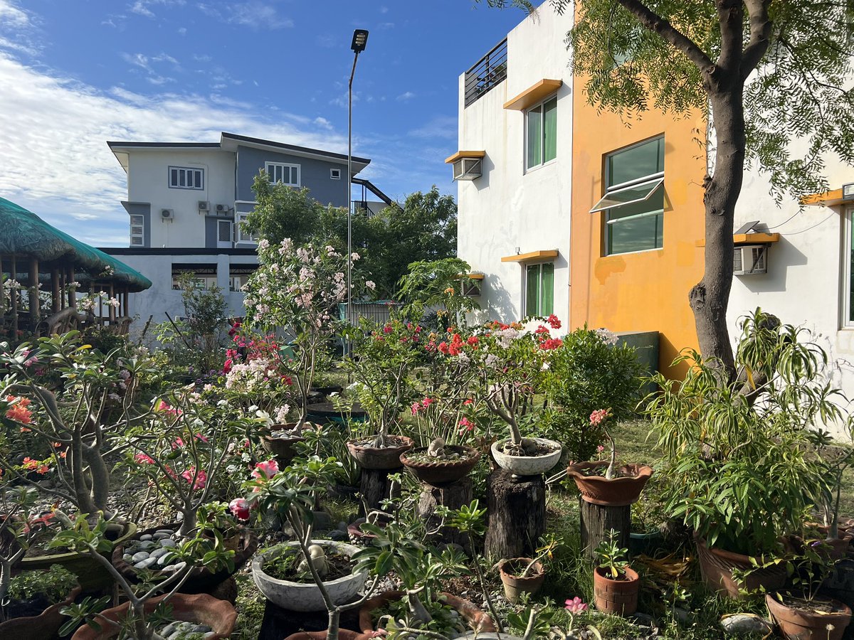 ‏ً (@ppyoppyopuli) on Twitter photo 