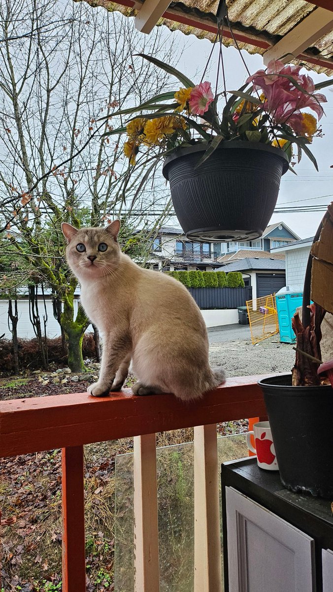 Nice shot after ekekek ekkek.
Pure beauty 😍