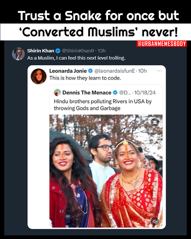Urban Memes Body (Retired) tweet media