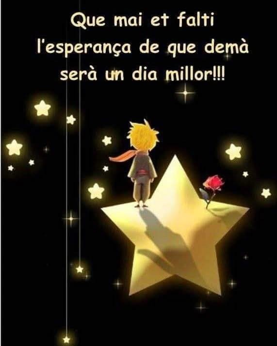 Lluisafc1's tweet photo. A poques hores de donar un altre volta al sol.
Que mai ens falti l'esperança.
Bon Any 2025.
Salut!!!😘💜 https://t.co/QzoM5F3ft0