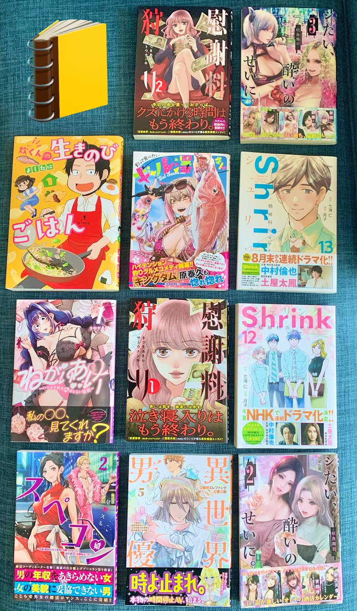 2024年の担当作コミックスは14冊(電子限定2冊)お届けできました🌵(Shrink14巻を友人に貸しだしてしまい、手元に無かった😂)
2025年は現状、新連載も含めると20冊くらいになりそうな見込みです🙏
とはいえあまり数や数字にこだわらず、ひとつひとつ丁寧に届けていくことを心がけたいです🎁