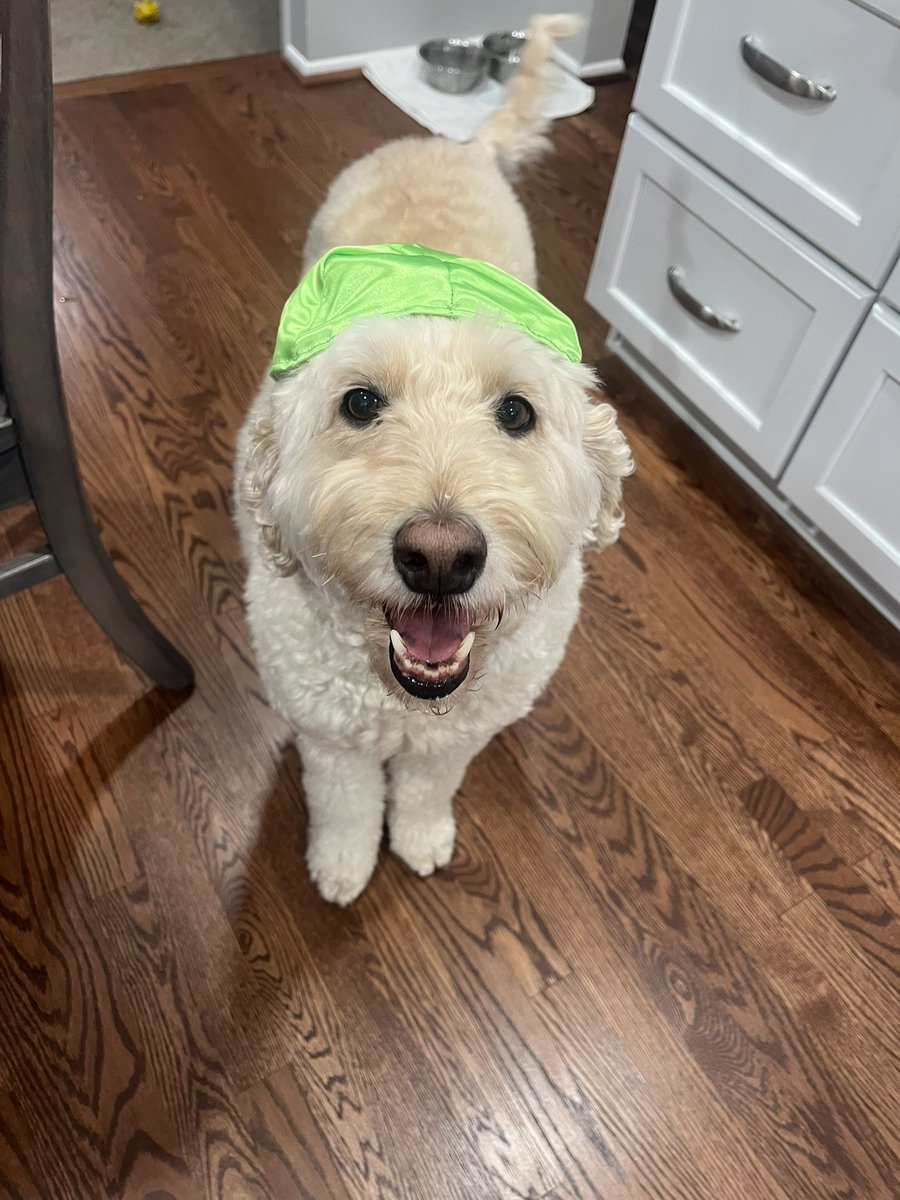 Happy Hanukkah to those who celebrate!! Here’s a pic of Ezra in his kippah 🕎✡️