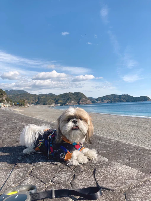 東京にあるものなんもないけど、東京にないもの大体全部ある!それが田舎だよな!!! 
