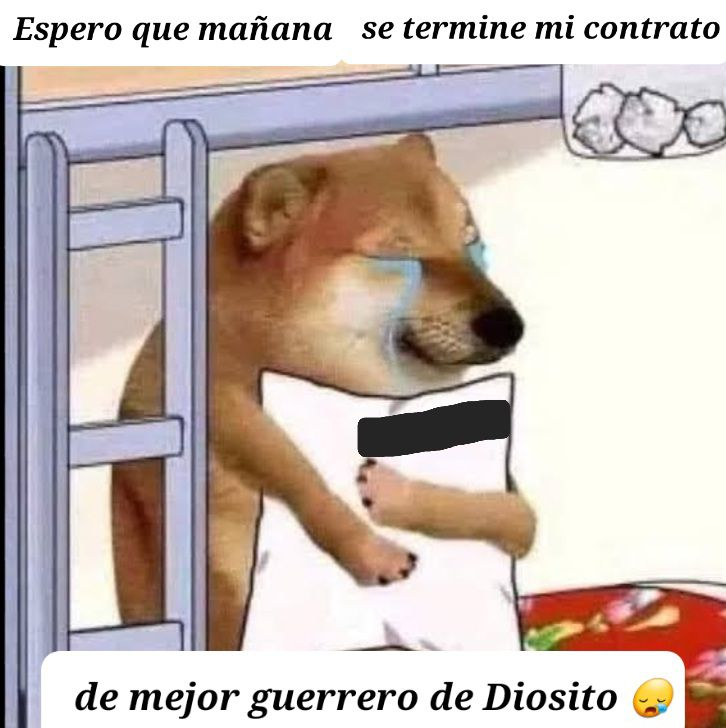 nacional_memes's tweet photo. 🐶 https://t.co/5zGBwhQTHN