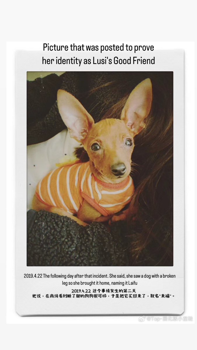 wonwoncity's tweet image. With the consent of #ZhaoLusi, her friend has just revealed a horrifying anecdote on Lusi being physically, verbally and emotionally abused by people in her company since 2019

"I’m truly furious. These are some things I want to reveal as her good friend. Back in 2019, something…