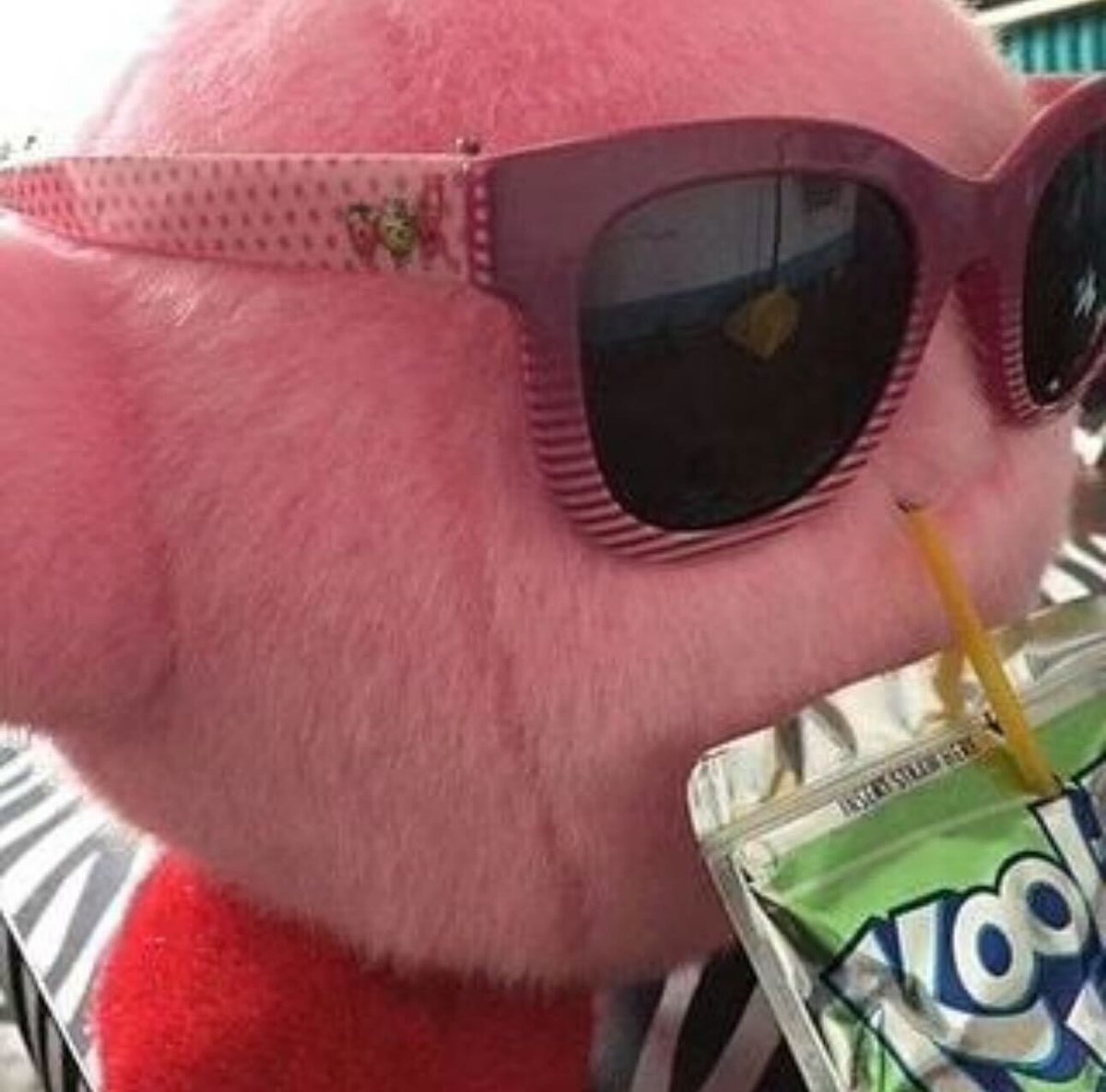 Lions's tweet image. 😎 @JKERB25