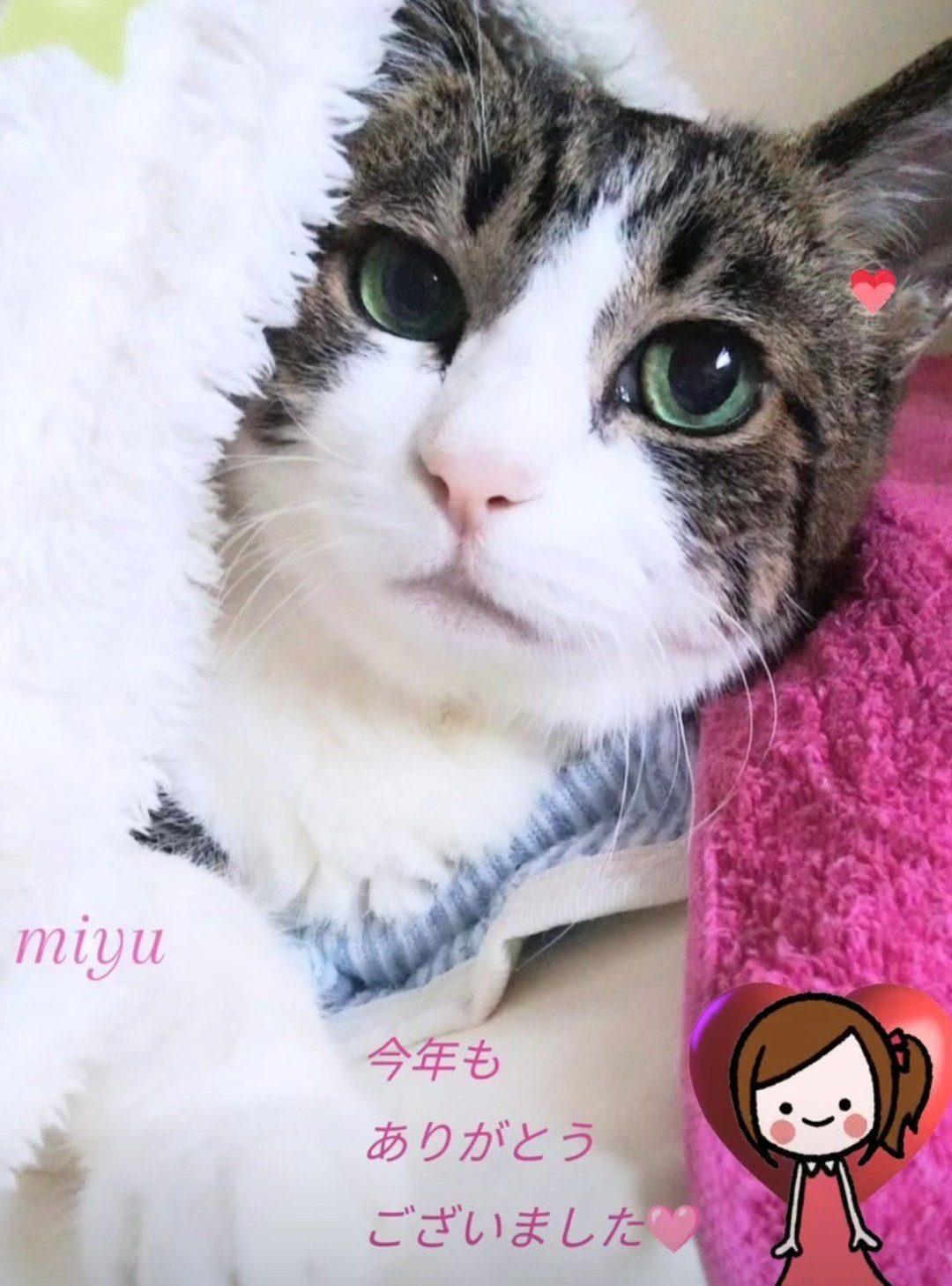 MIYUです。 miyu♡8728 (@miyu8728414) / X