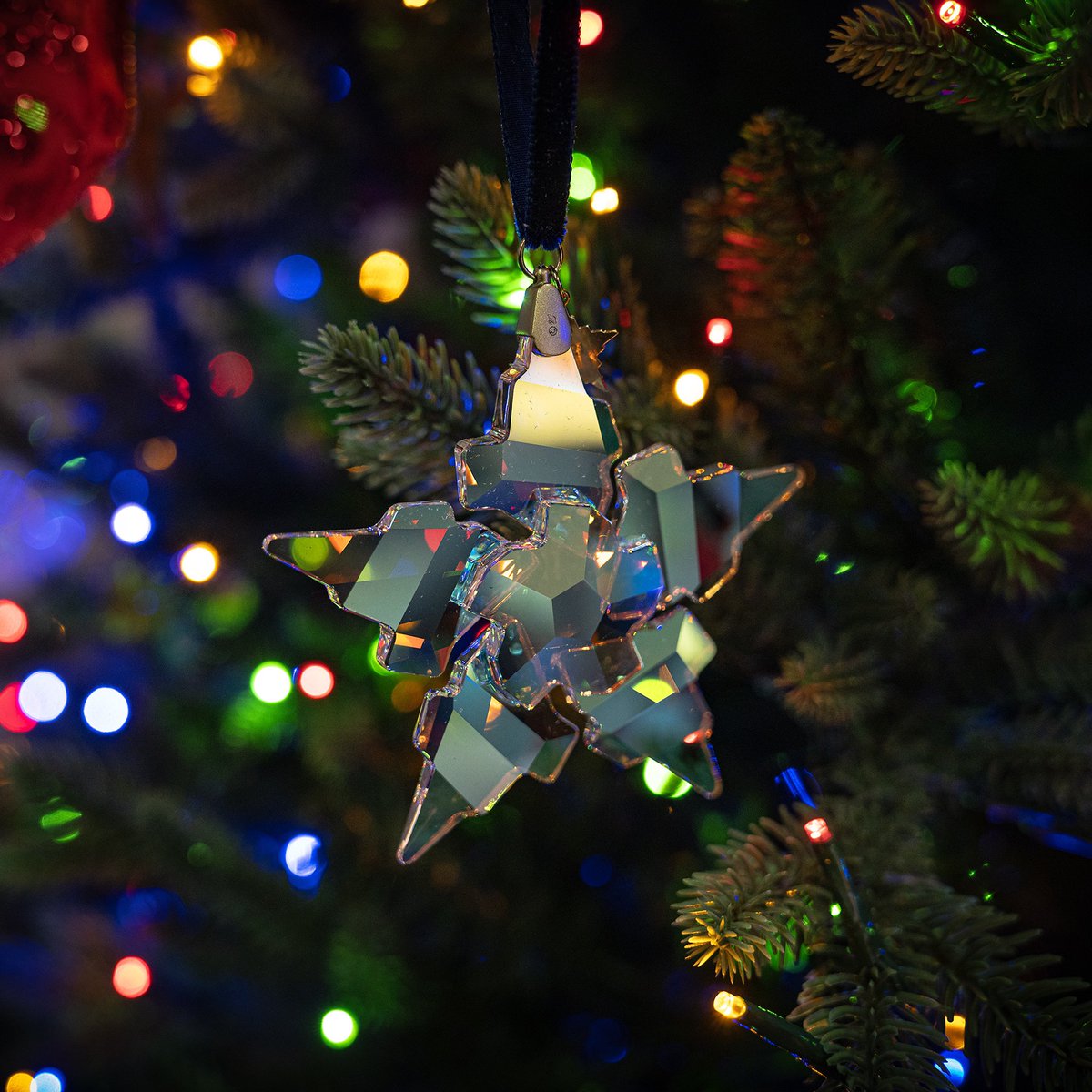 SMNDesign tweet media