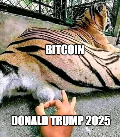 naiivememe's tweet photo. https://t.co/fC2uQSqTu2
