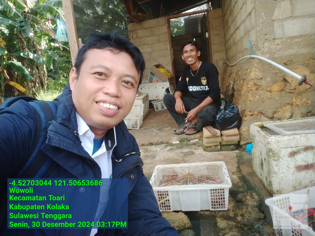 ashar_junianto's tweet photo. Senin (30/12/2024),  Ashar Junianto, S.Pi, Luhkan Kab. Kolaka, di Pokdakan Tambak Berjaya  (a.n Didi Darmawan) Desa Wowoli, melaporkan produksi Kepiting Bakau, bulan Desember, sebanyak 45 kg, harga 50.000 - 300.000/kg.

#GiatLuhkanSatminkalMaros #Kolaka #Produksi @BRPBAP3_Maros https://t.co/NYrBHU5zT7